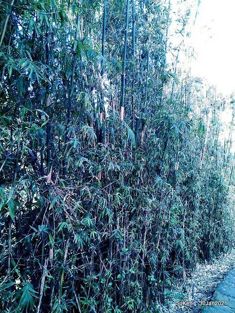 28-142827106_3934844453239997_3825747704372591590_n