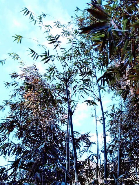 30-143763909_3934845469906562_3937979610966097574_n