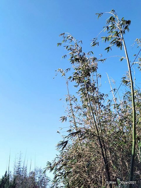 16-143880708_3934842756573500_8398419555506928829_n