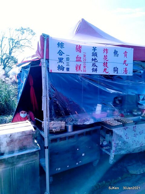 Cherryblossoms at Yang-Ming Mountain, Taipei,Taiwan, SJKen,Jan 30,2021.