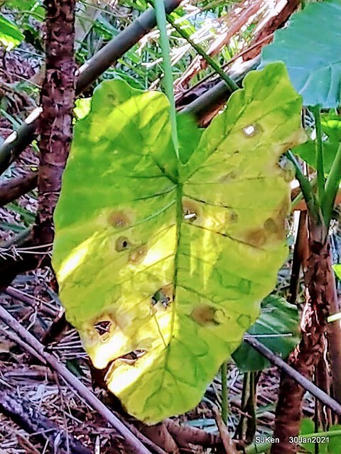 45-142704959_3934846476573128_7769649897099528429_n