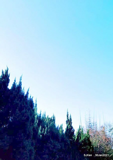 13-142865717_3934842816573494_269082575436551851_n