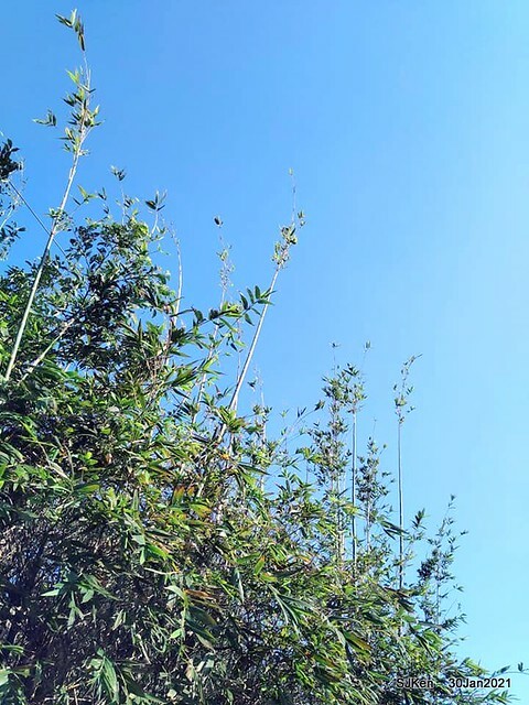 18-144532498_3934844136573362_8633827522289445742_n