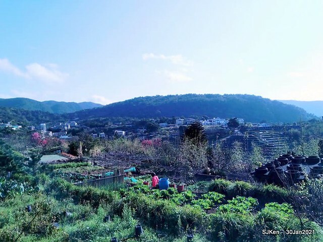 05-142783076_3934842989906810_5392465048324581436_n