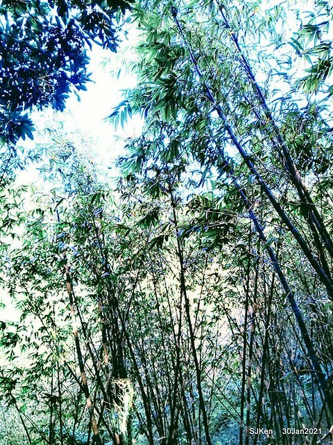 29-143530676_3934844819906627_5105560654218576631_n