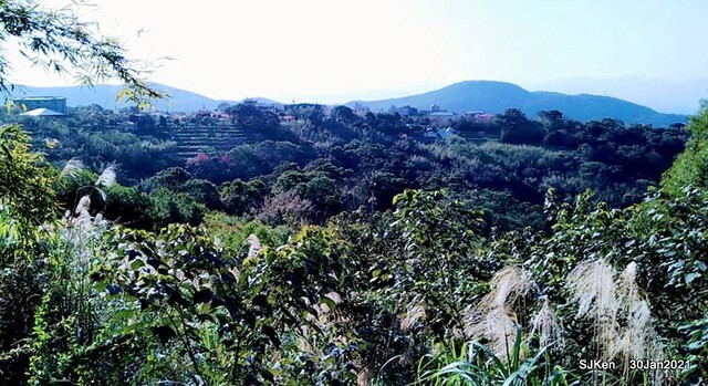 03-142830786_3934843333240109_5953969513541628293_n