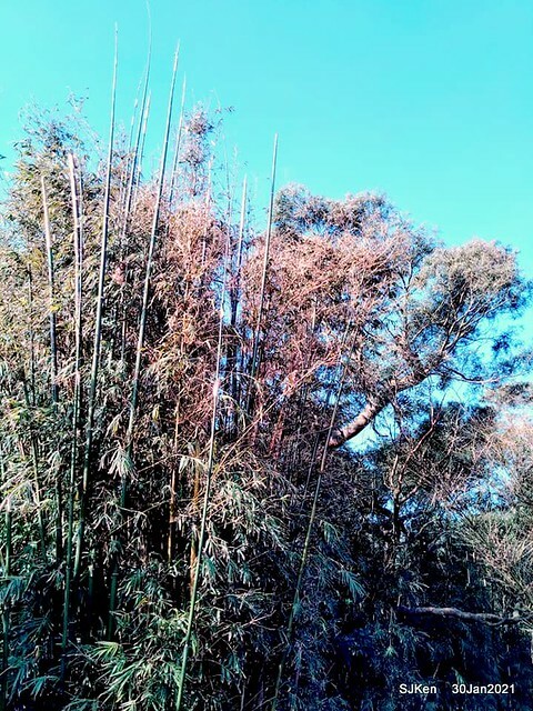 22-143512767_3934844303240012_7852436476461956711_n