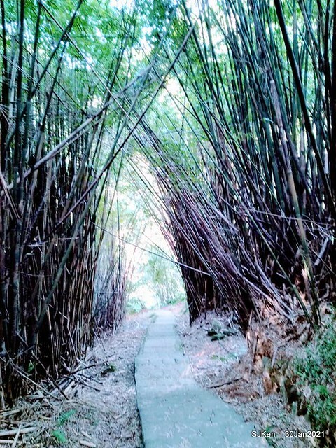 26-142773436_3934845823239860_1295281846369448491_n