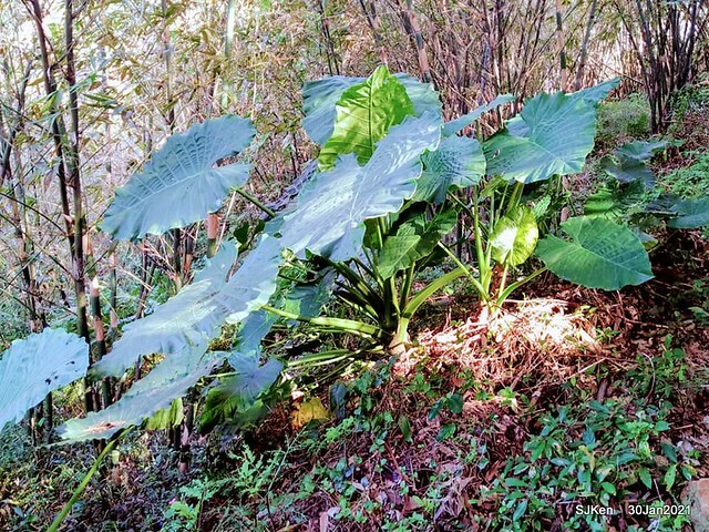 38-144007740_3934846653239777_4084816355543598053_n