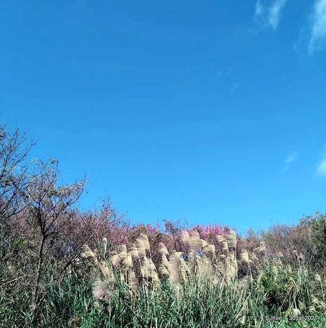 06-143307001_3934841453240297_4894790307464625408_n