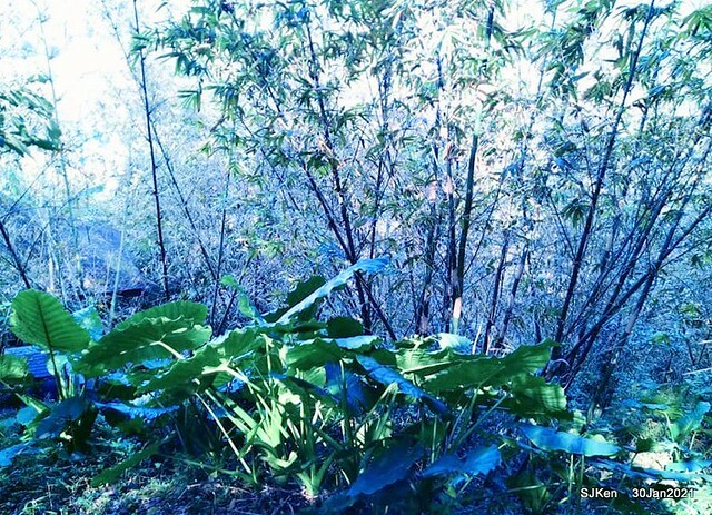 37-142408805_3934845099906599_506114874123358970_n