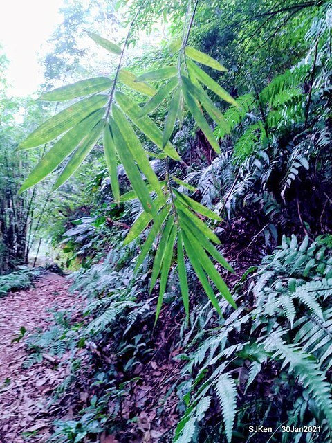 32-143449523_3934845963239846_708004984543510975_n