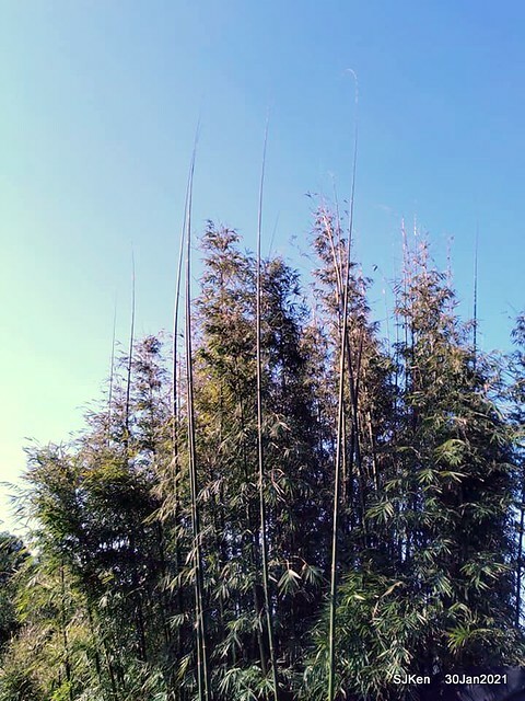 15-142794399_3934843466573429_5060492528864802121_n