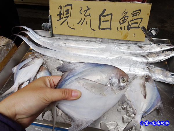 現流白鯧魚-紳生魚片.jpg