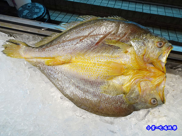 黃魚一夜干-紳生魚片批發 (1).jpg