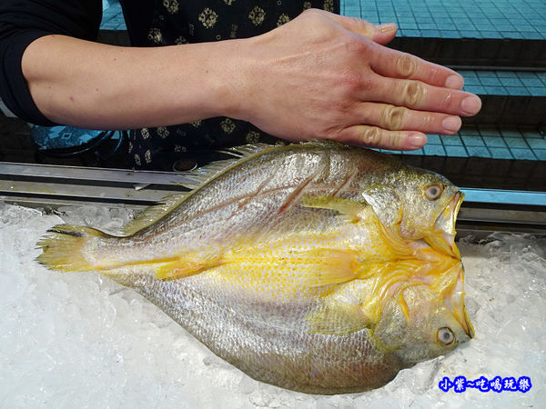 黃魚一夜干-紳生魚片批發 (2).jpg
