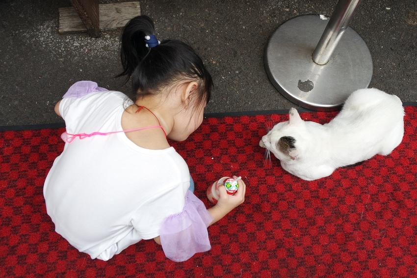 SAM_5773.JPG SAM_5773.JPG