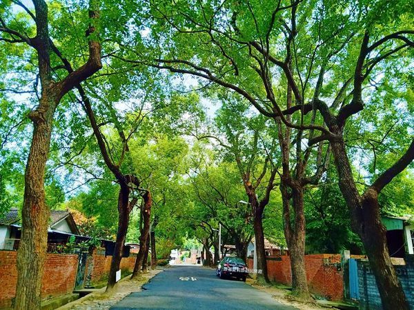 44253142_749387488739135_6898624278116171776_n