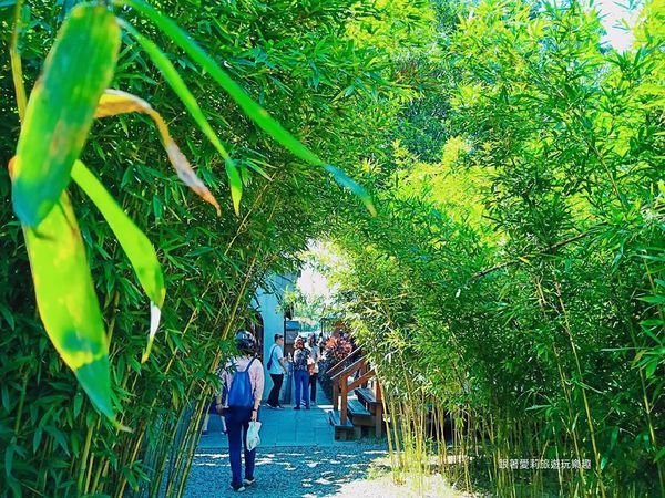 44327459_1175303565958923_1135234940951068672_n