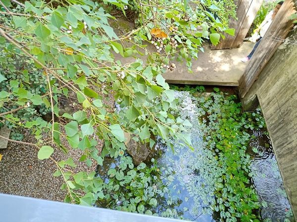 44330698_1511543585656498_5945725804280283136_n