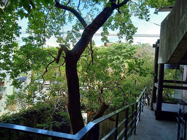 44211370_347139459381793_3068350736778657792_n