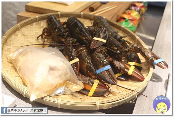 IMG_8104.JPG IMG_8104.JPG