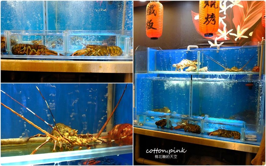 台中鵝肉推這家！台中宵夜酒拾食堂燒酒雞也好好吃，點餐滿千送活跳跳泰國蝦