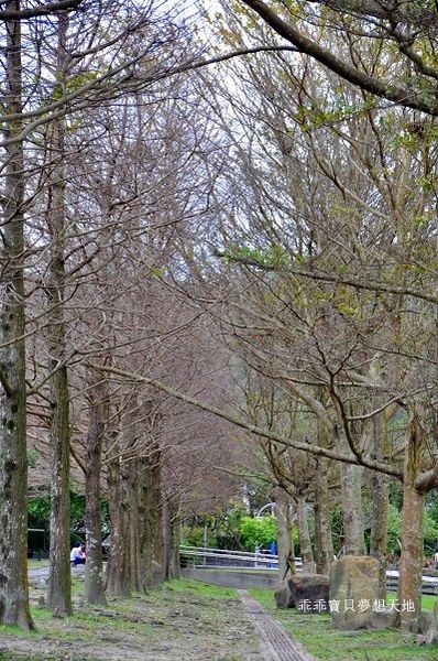 頭城運動公園-28.JPG