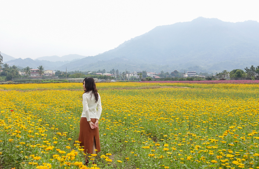 [高雄景點推薦]2019美濃杉林花海-免入場費~全台最大向日葵迷宮x彩色拼布花海~怎麼拍照都夢幻 - 美食好芃友