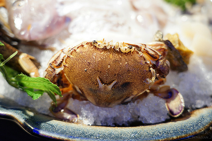 宜蘭縣五結鄉馬紹爾魚鍋》新鮮魚鍋名不虛傳，雙人豪華海陸套餐超鮮