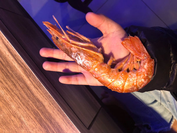 圓圓家愛吃貨-《宜蘭五結》漂洋過海新鮮魚《馬紹爾魚鍋》超高cp值,就像在大海裡吃火鍋