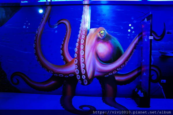 DSC01567.JPG DSC01567.JPG