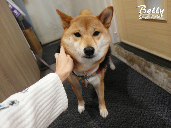 20190323Woodid우리韓式料理 (25).jpg