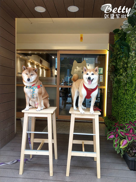 20190323Woodid우리韓式料理 (22).jpg