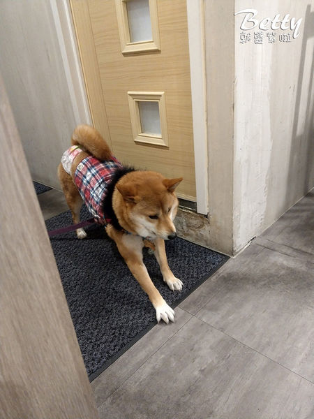 20190323Woodid우리韓式料理 (18).jpg