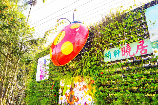 【南投日月潭 - 七大必住精選民宿】鄉村、親子、田園、放鬆一次滿足 「SGS民宿認證」