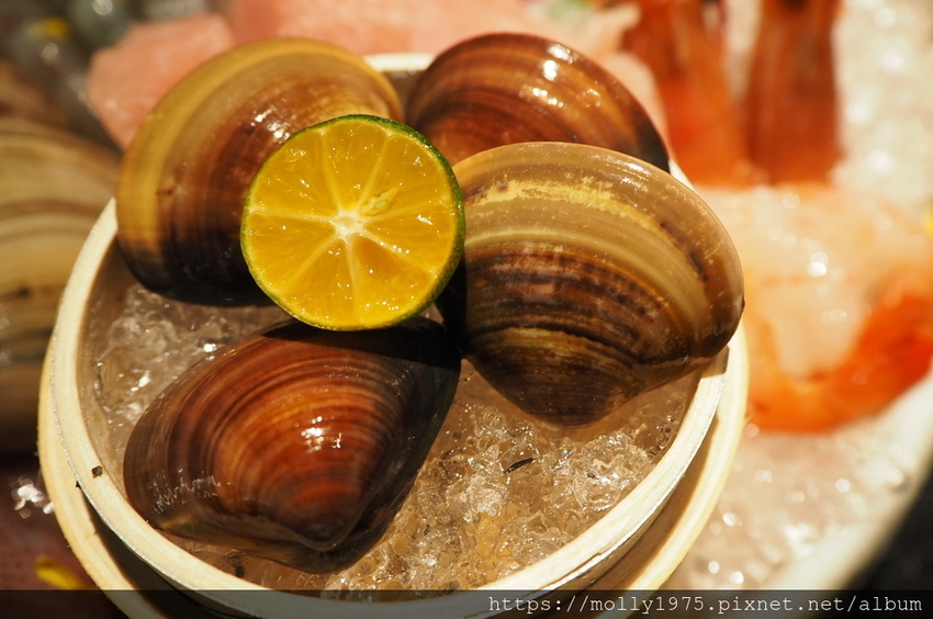 2019-02-09 17.41.47.jpg