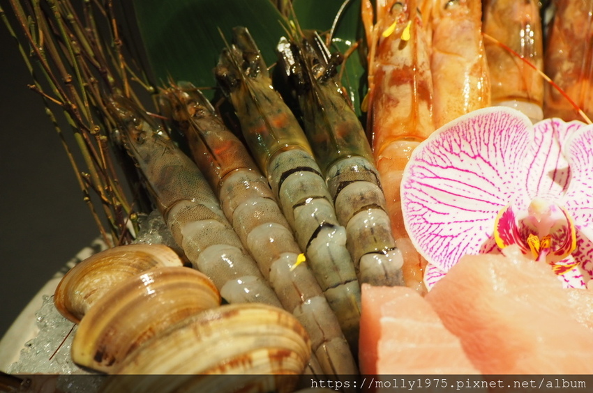 2019-02-09 17.42.00.jpg