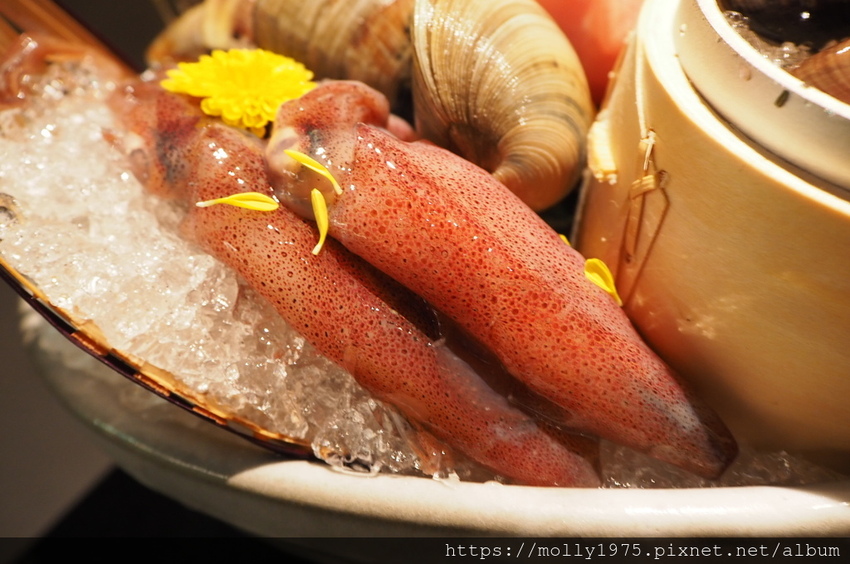 2019-02-09 17.41.53.jpg