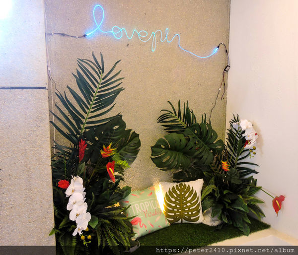 DSCN4901.jpg DSCN4901.jpg