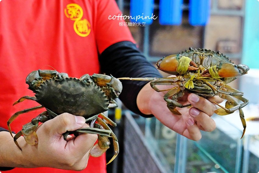台中豐原浮誇系海鮮粥-粥霸超狂地表最強海鮮粥!!