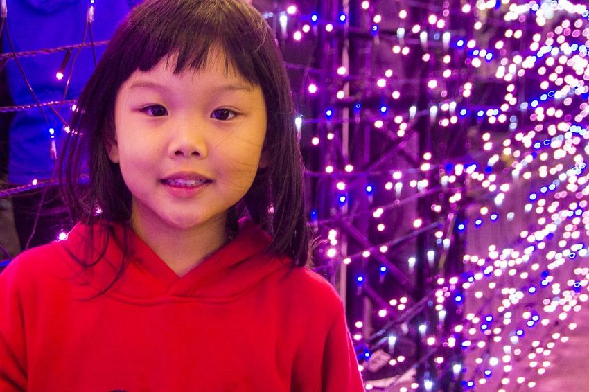 【玩樂．台北】2019台北燈節／台北台北亮晶晶～燈會攻略看這裡，「百變豬寶亮晶晶」和「搖擺北門光雕秀」2大亮點必看