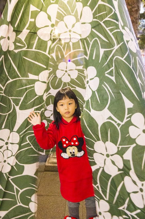 【玩樂．台北】2019台北燈節／台北台北亮晶晶～燈會攻略看這裡，「百變豬寶亮晶晶」和「搖擺北門光雕秀」2大亮點必看