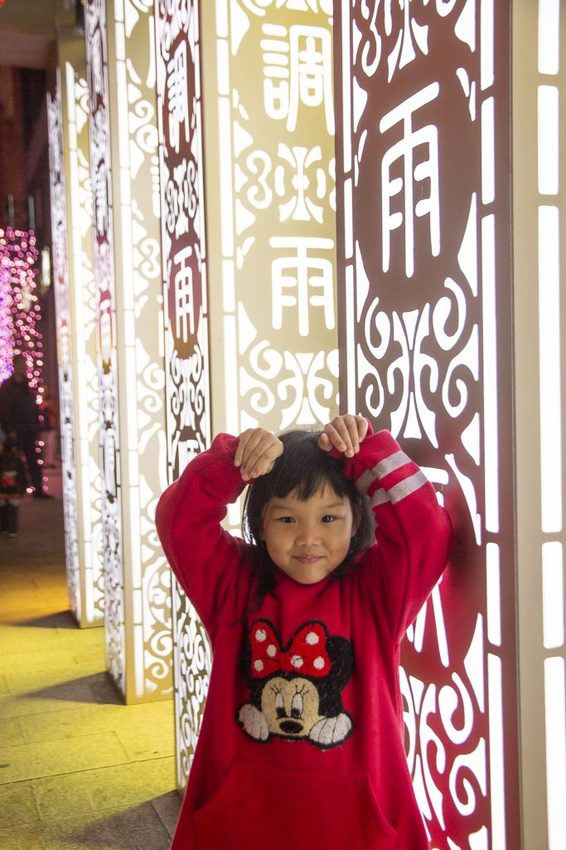 【玩樂．台北】2019台北燈節／台北台北亮晶晶～燈會攻略看這裡，「百變豬寶亮晶晶」和「搖擺北門光雕秀」2大亮點必看