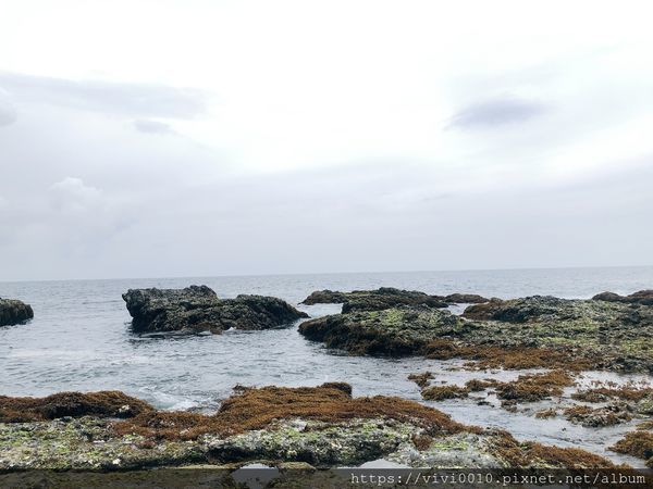 IMG_4050.JPG IMG_4050.JPG