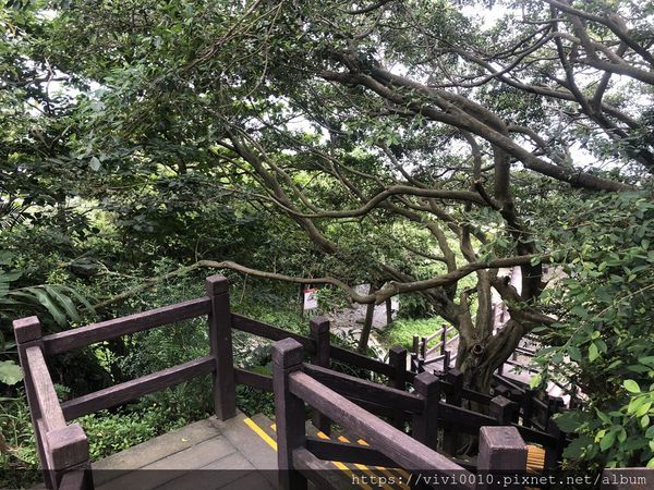 IMG_4030.JPG IMG_4030.JPG