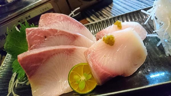 51854102_2265834140114929_2140395087945793536_n