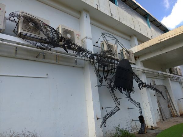 P_20190104_124135-2016x1512.jpg P_20190104_124135-2016x1512.jpg