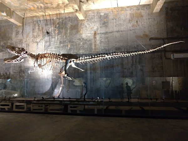 P_20190104_113351-2016x1512.jpg P_20190104_113351-2016x1512.jpg