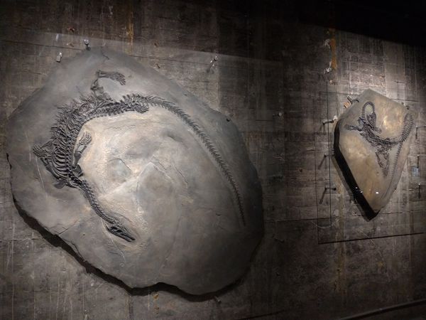 P_20190104_113127-2016x1512.jpg P_20190104_113127-2016x1512.jpg